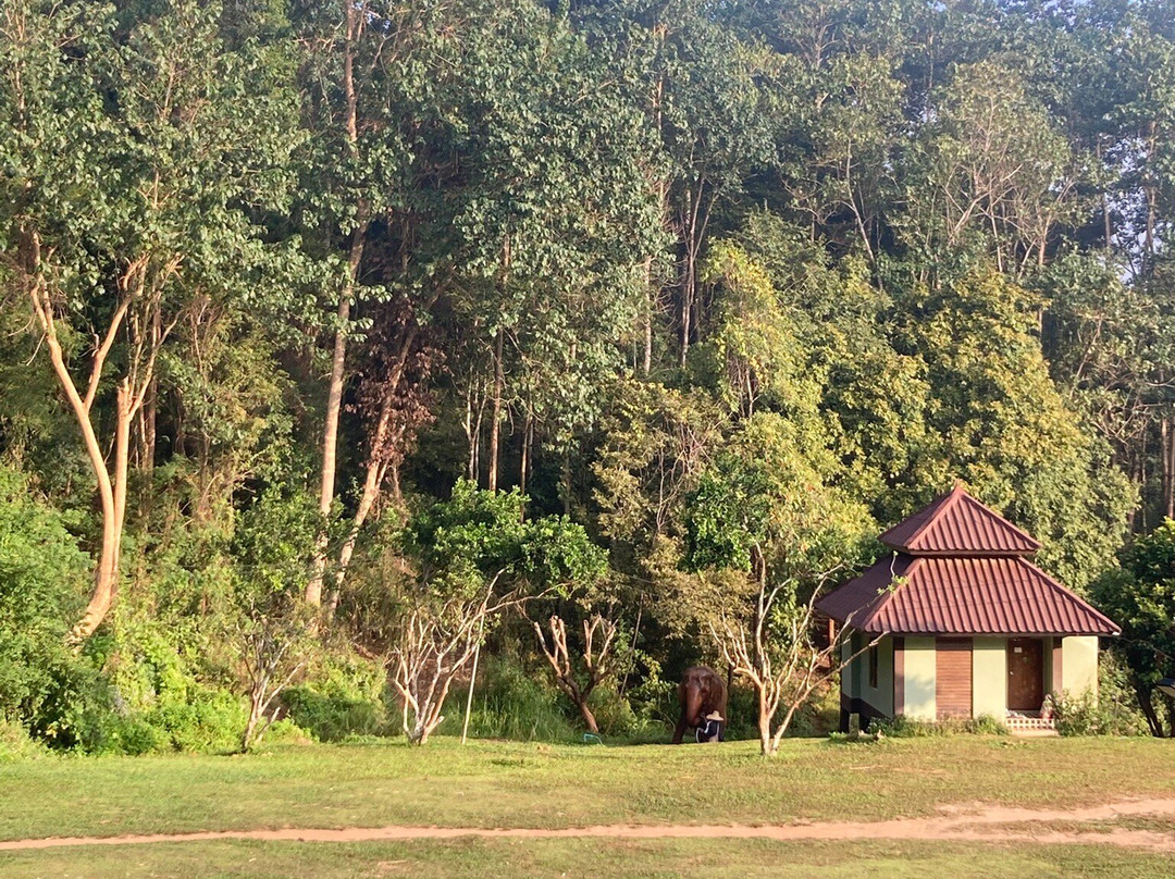 Puthawan Elephant Camp主图