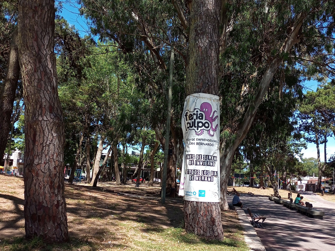 Plaza de la Familia-San Bernardo必去景点