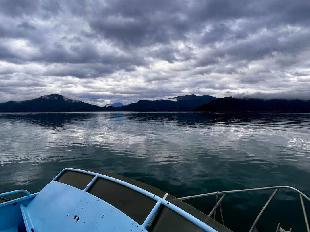 Pelorus Tours - Private Tours景点图片