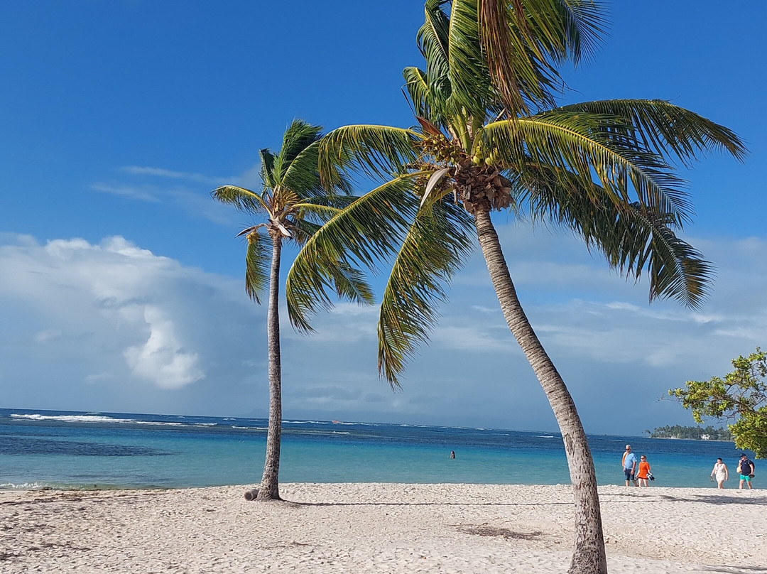La Billetterie Saintoise-Terre-de-Haut必去景点