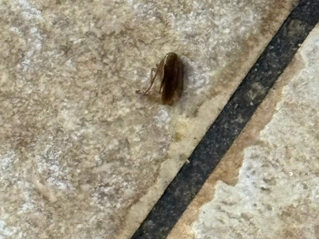 Countryside Inn & Suites主图