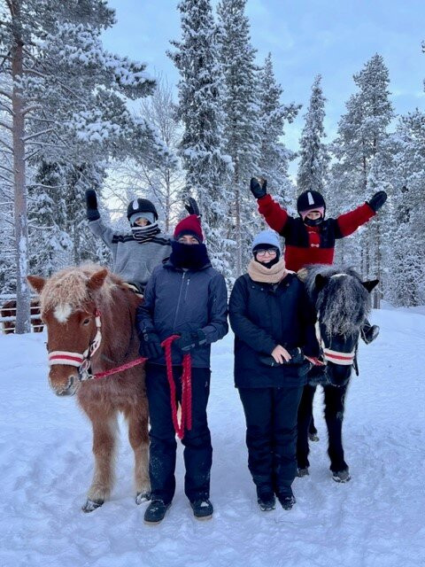 Lapin Saaga Icelandic Horse Stable in Levi-Sirkka必去景点