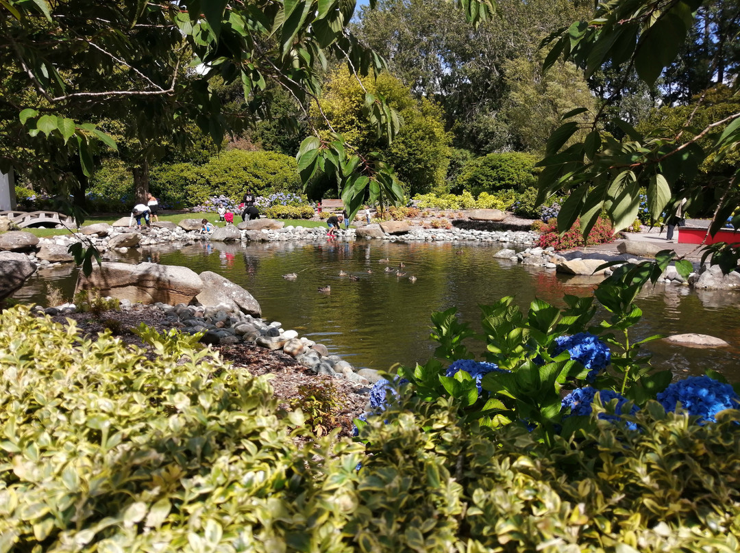 Queens Park景点图片