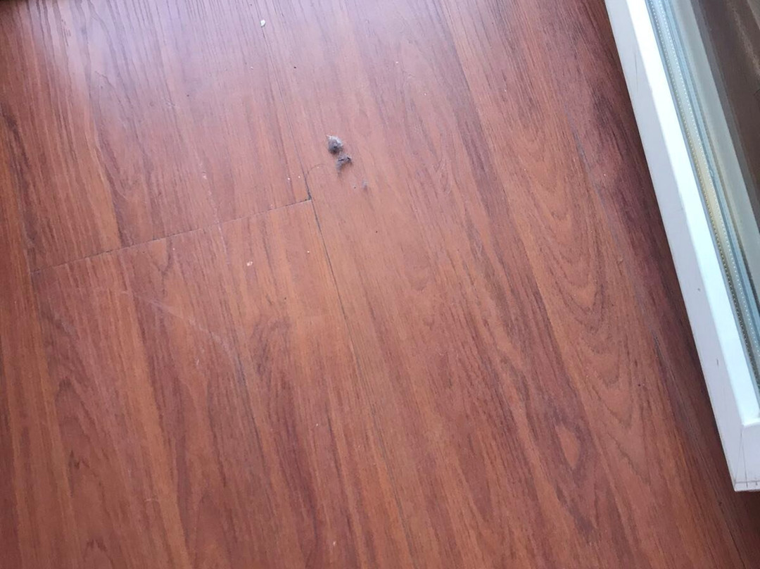 Achillion Hotel主图