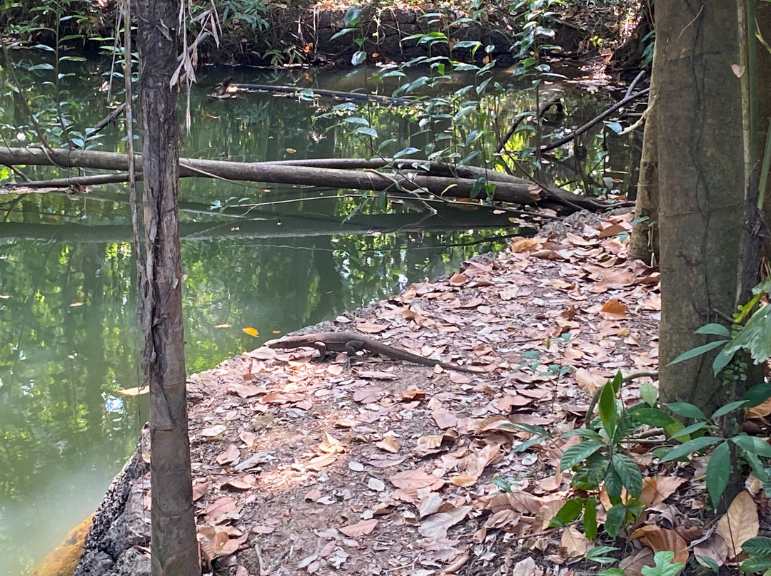 Kumarakom Bird Sanctuary景点图片