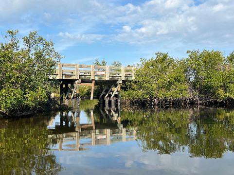 Surferbus-布雷登顿必去景点
