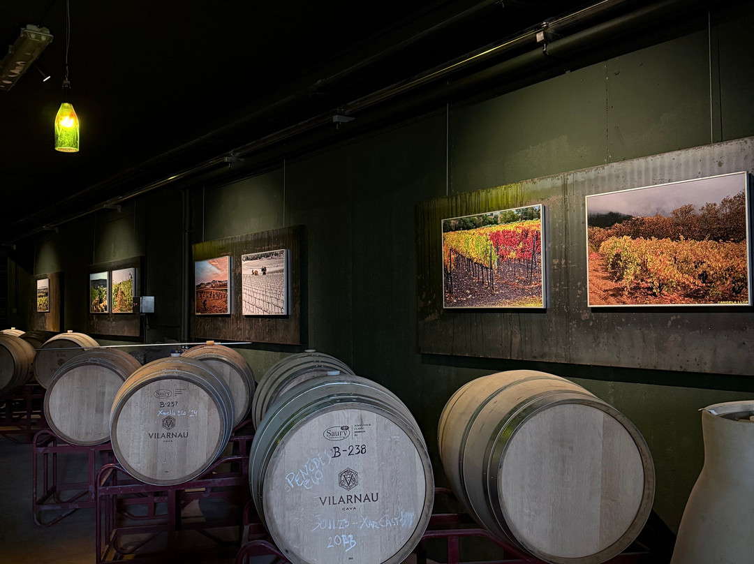 Cava Vilarnau景点图片