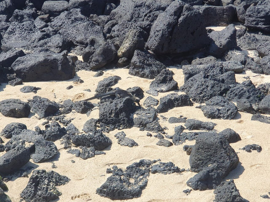 GALAPAGOS IRISNYA-阿约拉港必去景点