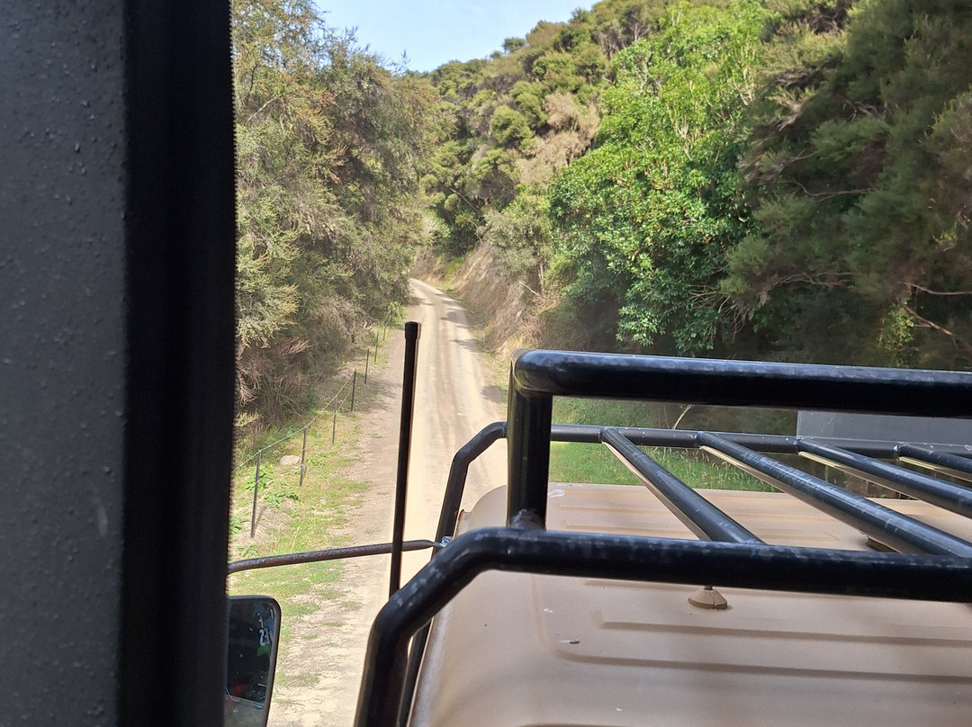 Eco Zip Line Kaikoura N.z.景点图片