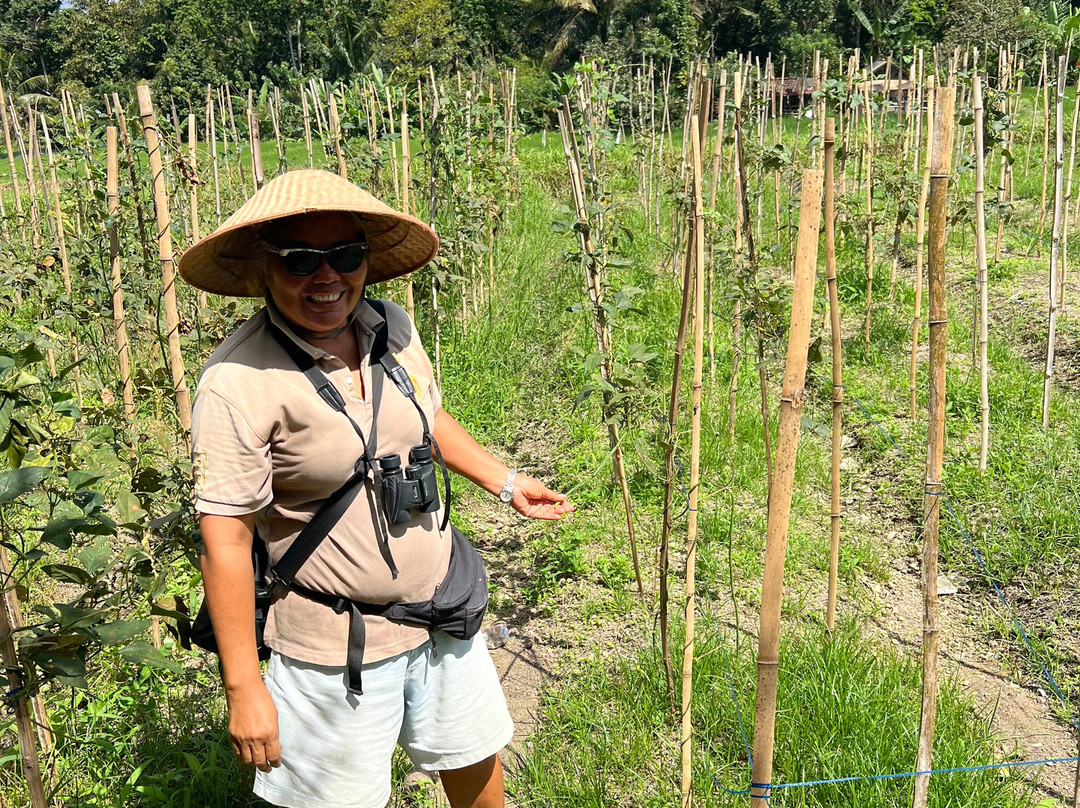 Bali Bird Walks-乌布必去景点