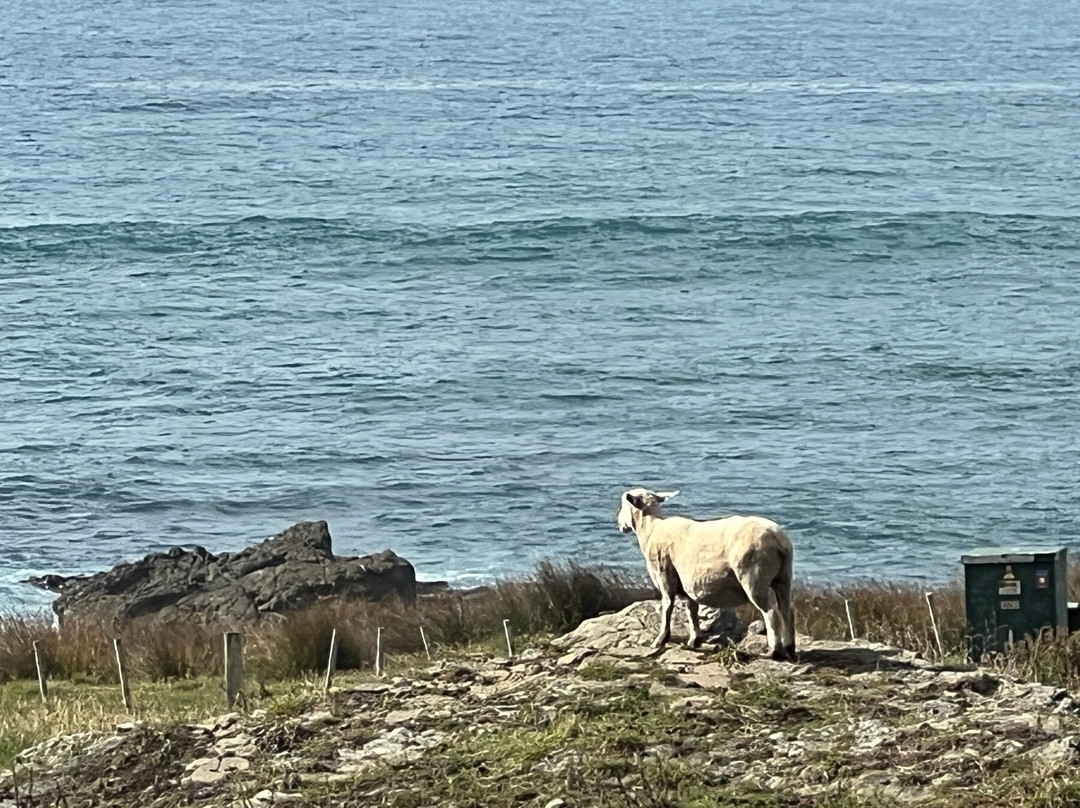 Tora Coastal Walk景点图片