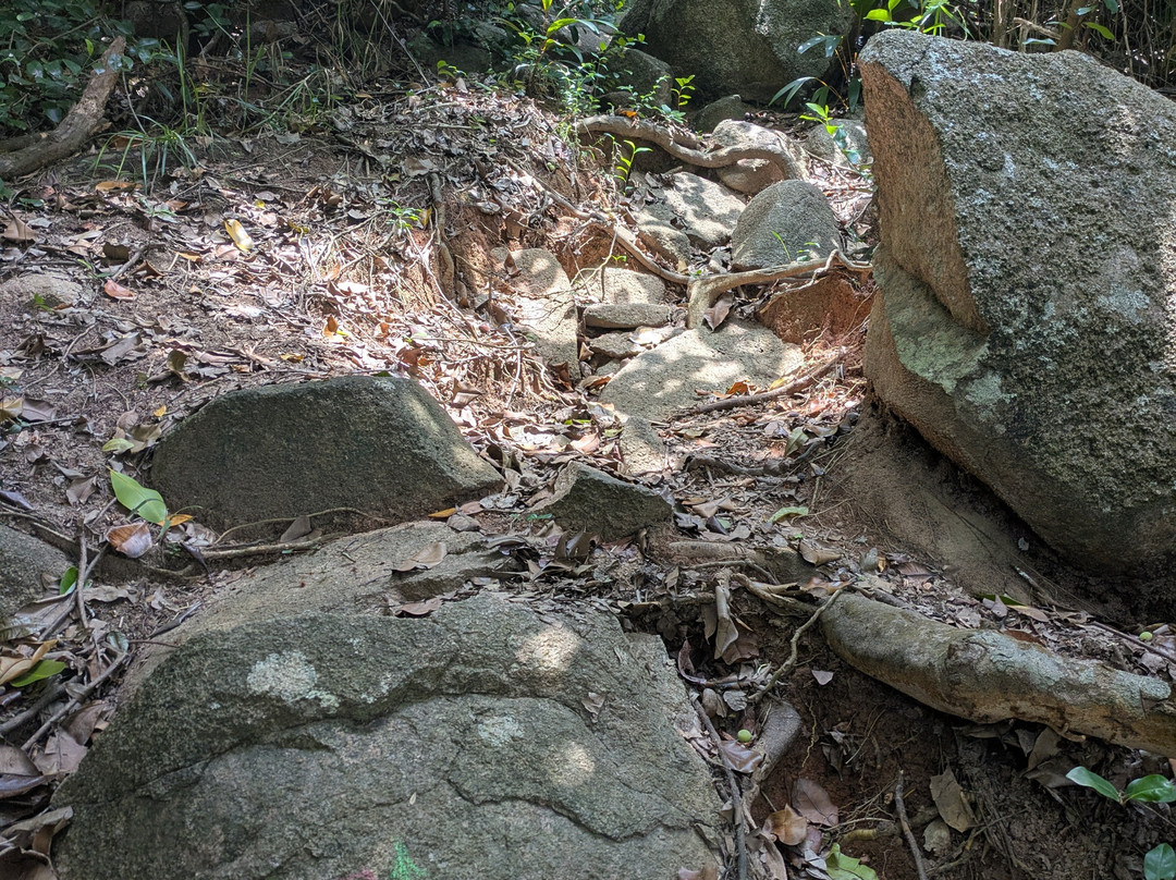 Anse La Farine景点图片