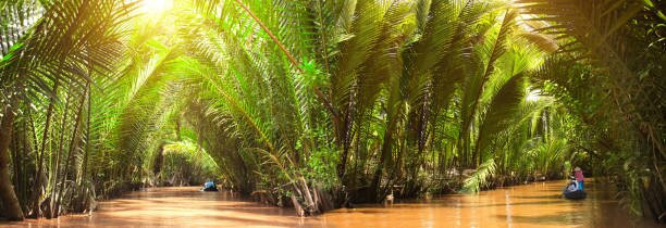 Mekong Cruises Tours-胡志明市必去景点