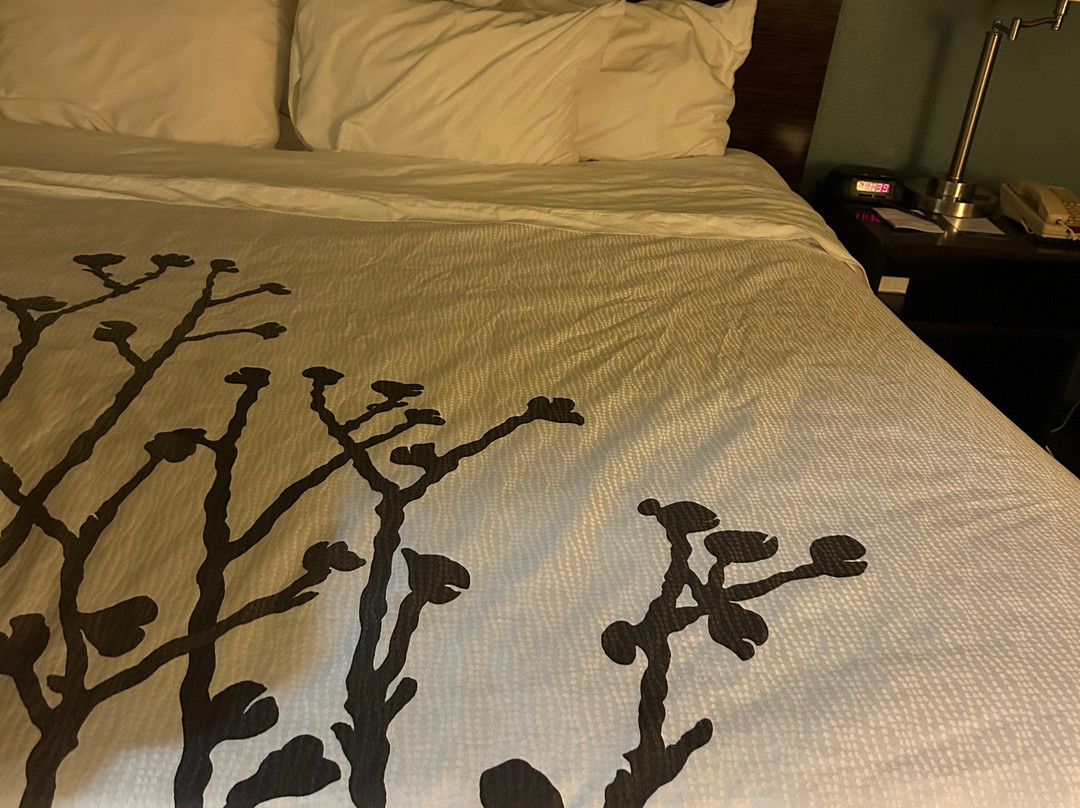 Sleep Inn & Suites主图