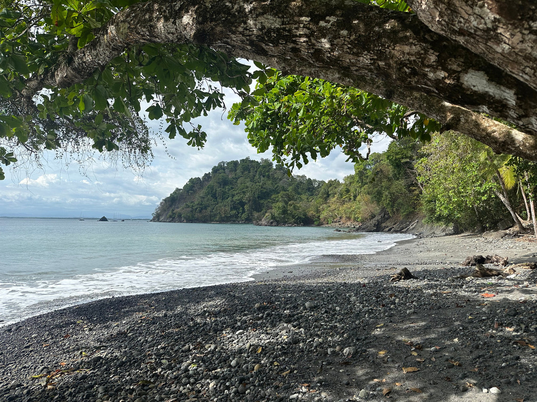 Parque Nacional Manuel Antonio景点图片