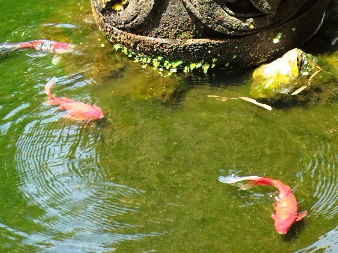 Senetan Villas & Spa Resort主图