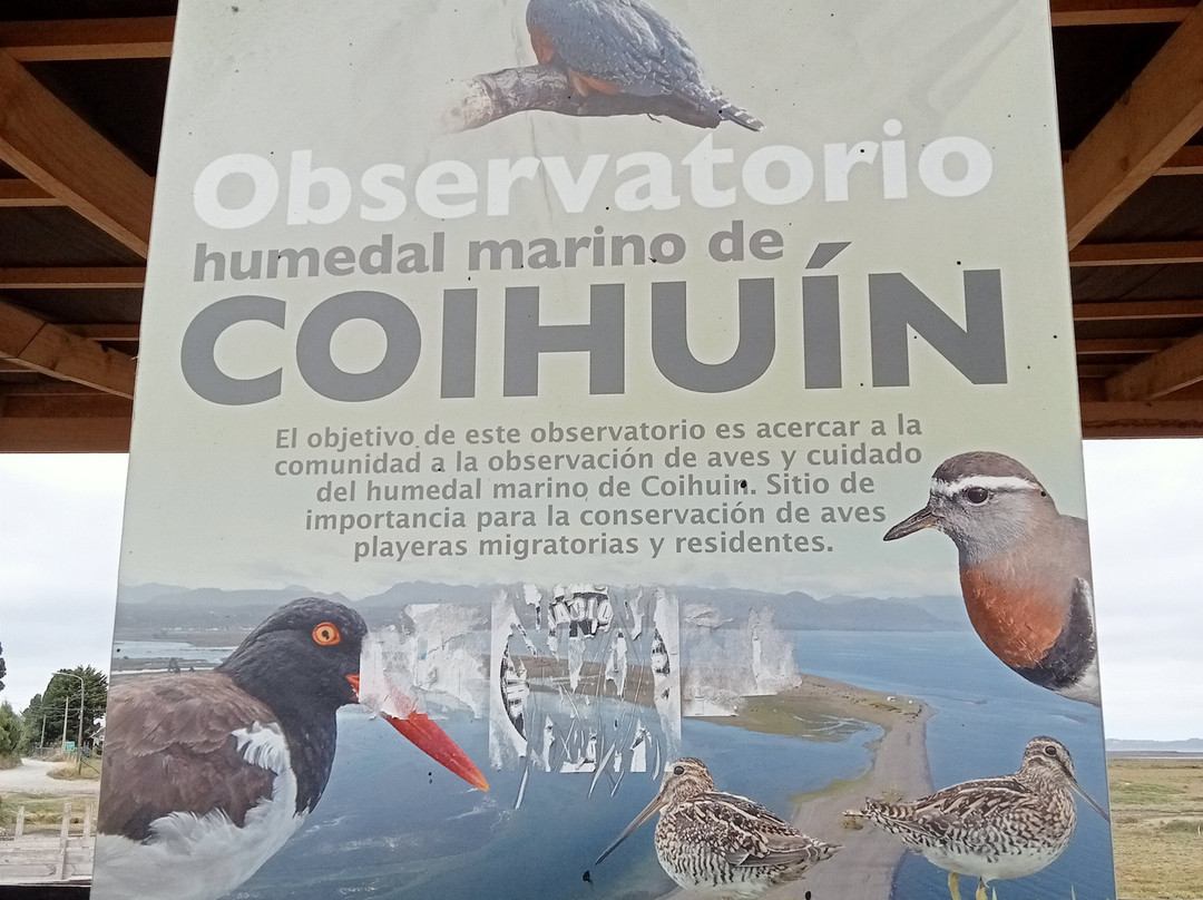 Mirador Coihuín-蒙特港必去景点