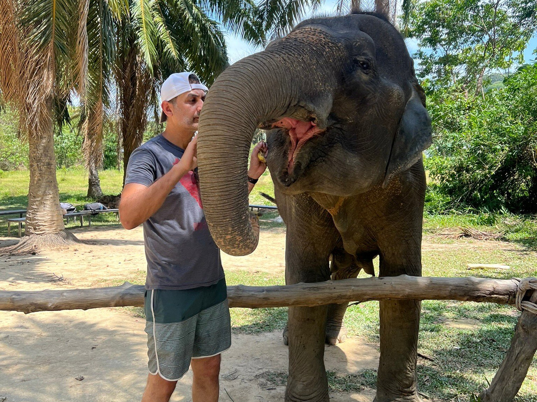 Lanta Elephant Sanctuary-兰塔岛必去景点