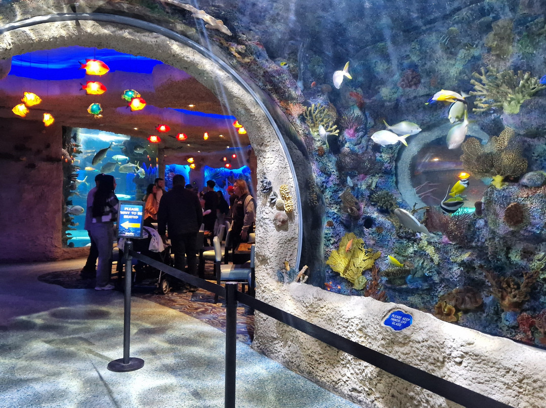 Opry Mills-纳什维尔必去景点