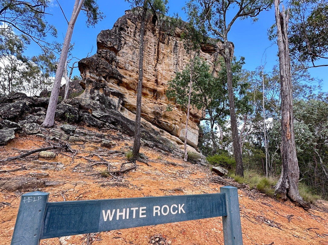 White Rock-Spring Mtn Conservation Estate景点图片