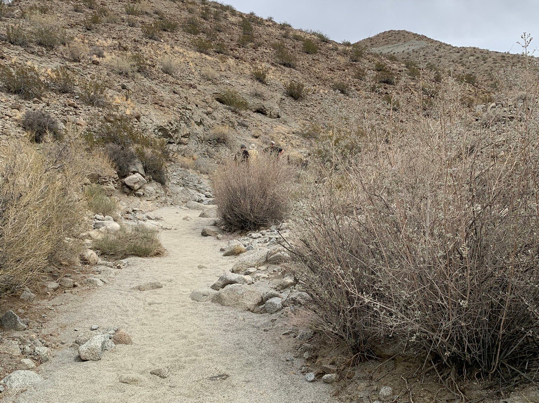 Randall Henderson Loop Trail-棕榈沙漠必去景点