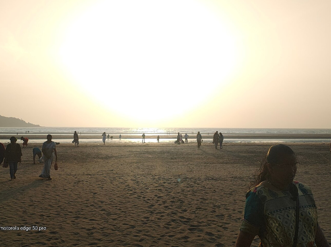 Revdanda Beach Fort景点图片