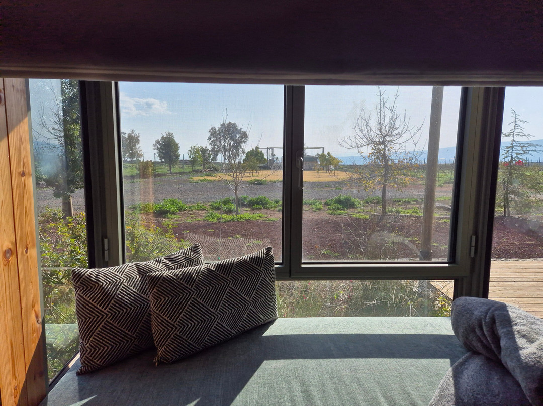 Assaf Winery-Kidmat Tzvi必去景点