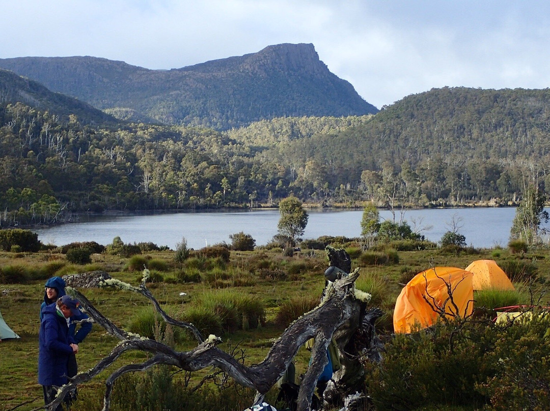 Trek Tours Australia-朗塞斯顿必去景点