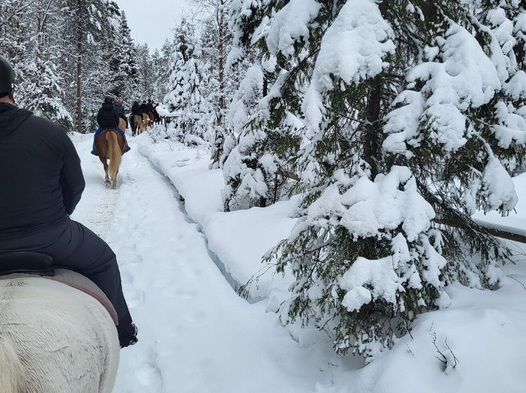 Ruska Laukka-库萨莫必去景点