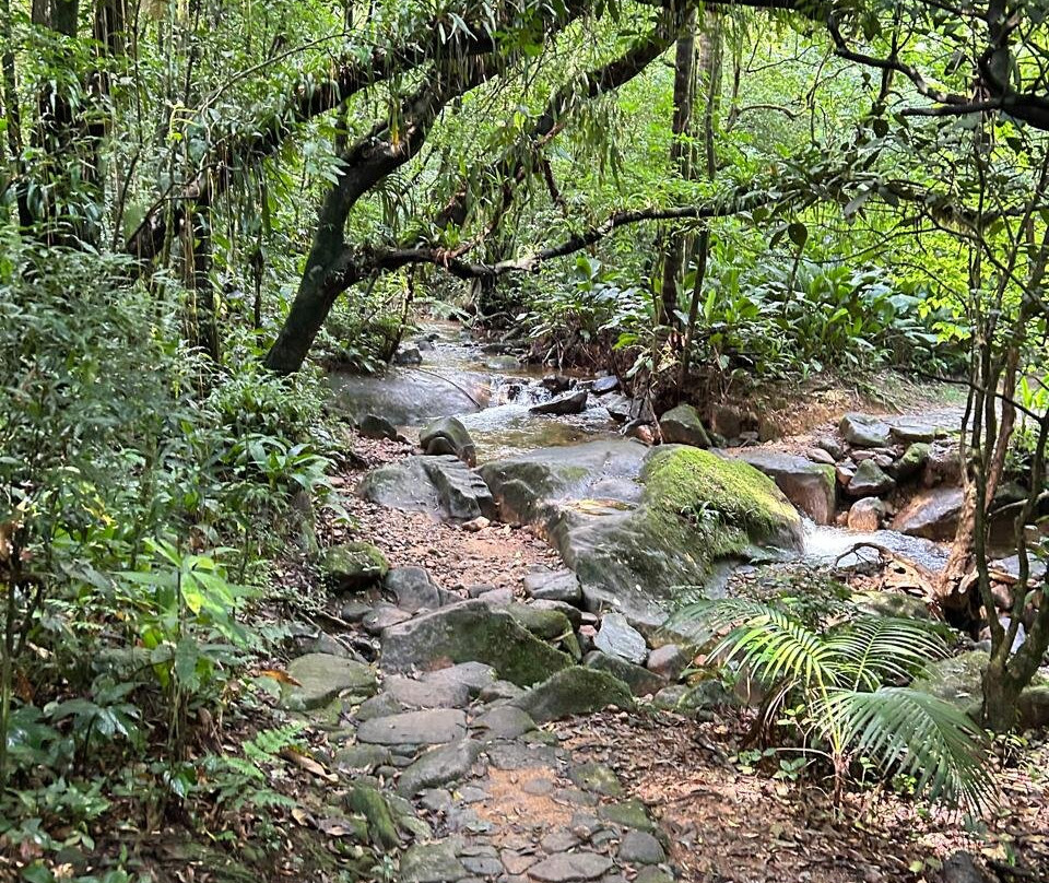 Pico do Marumbi State Park景点图片