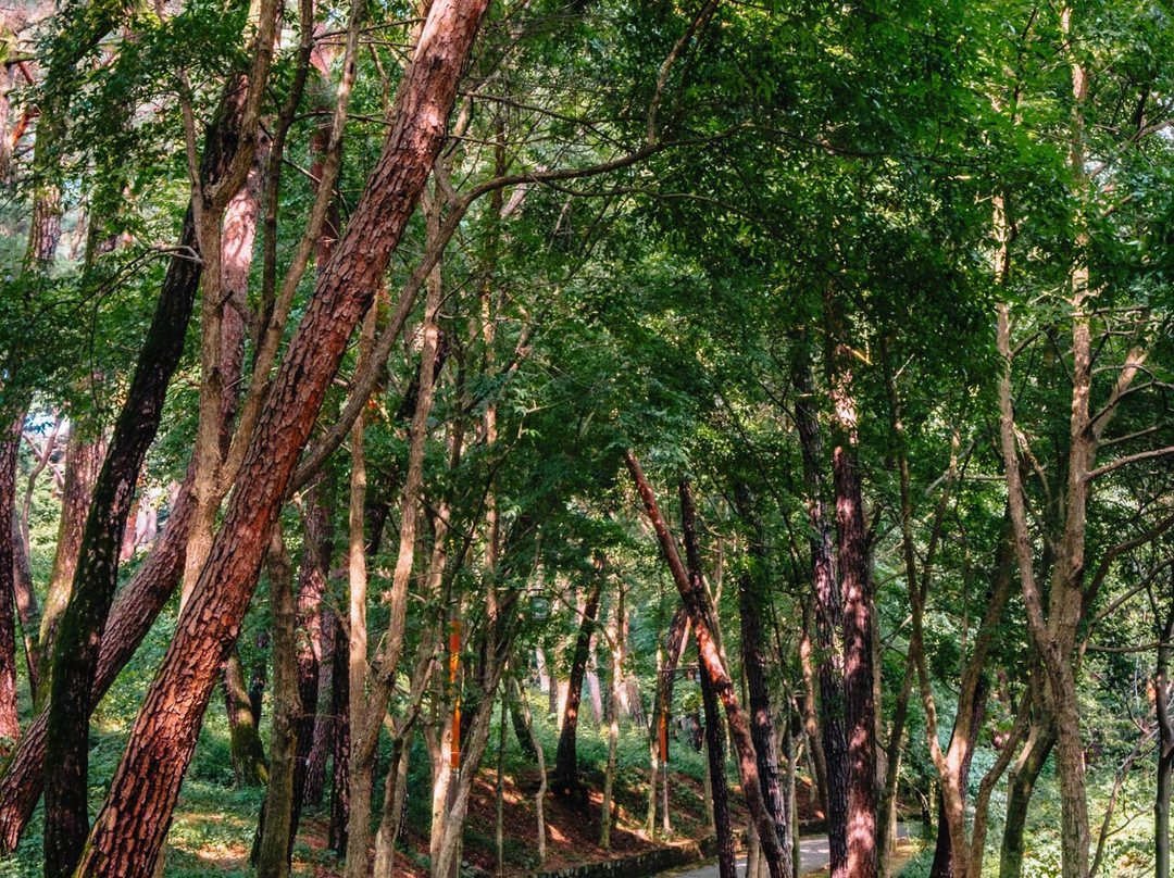 Busosanseong Fortress-扶余郡必去景点