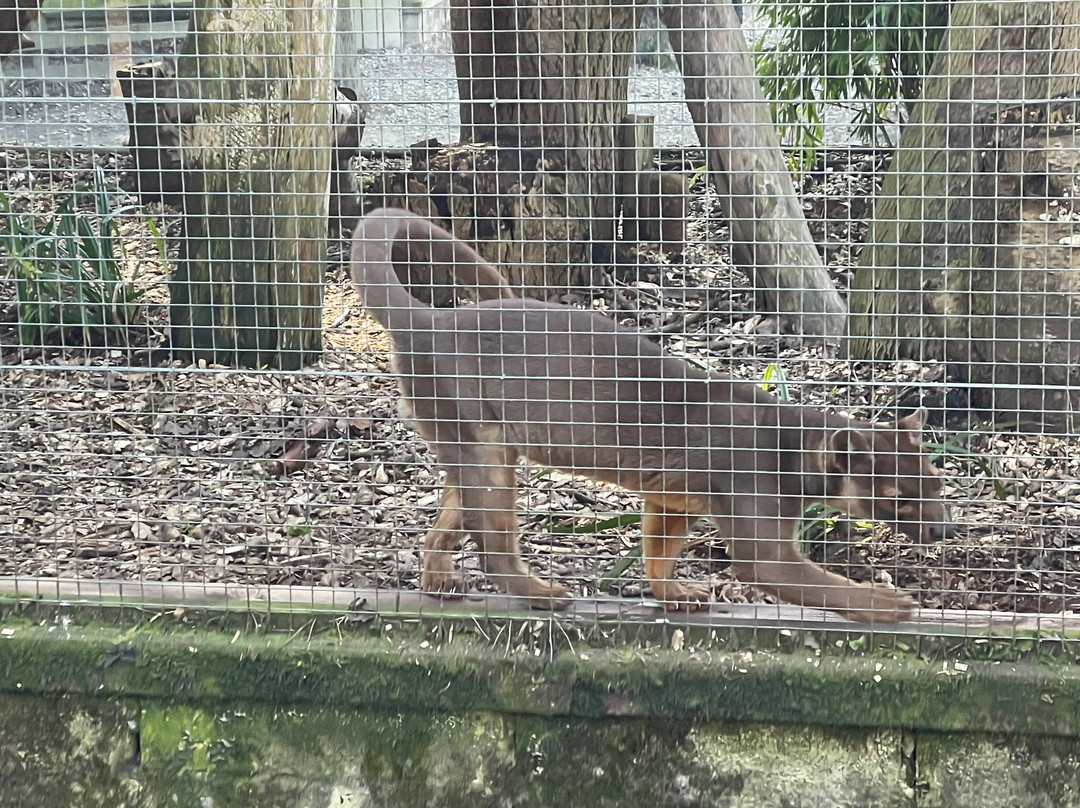 Lakeland Wildlife Oasis景点图片