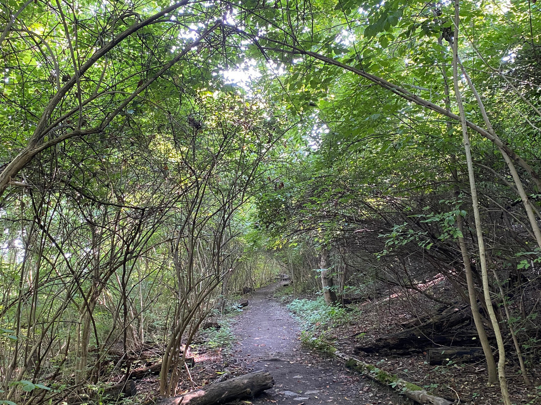 Ault Park-辛辛那提必去景点