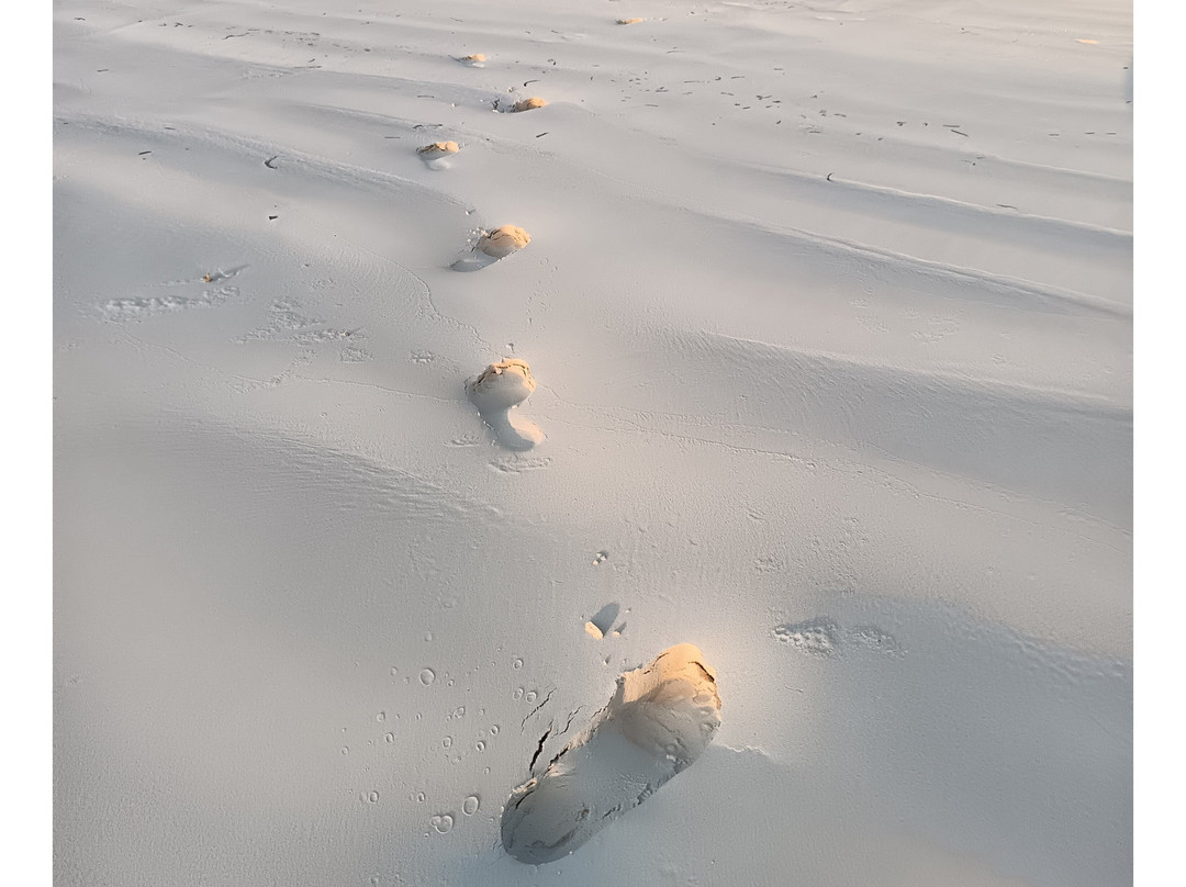 Sunshine Marine Lodge主图