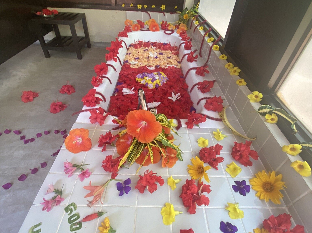 One World Foundation主图