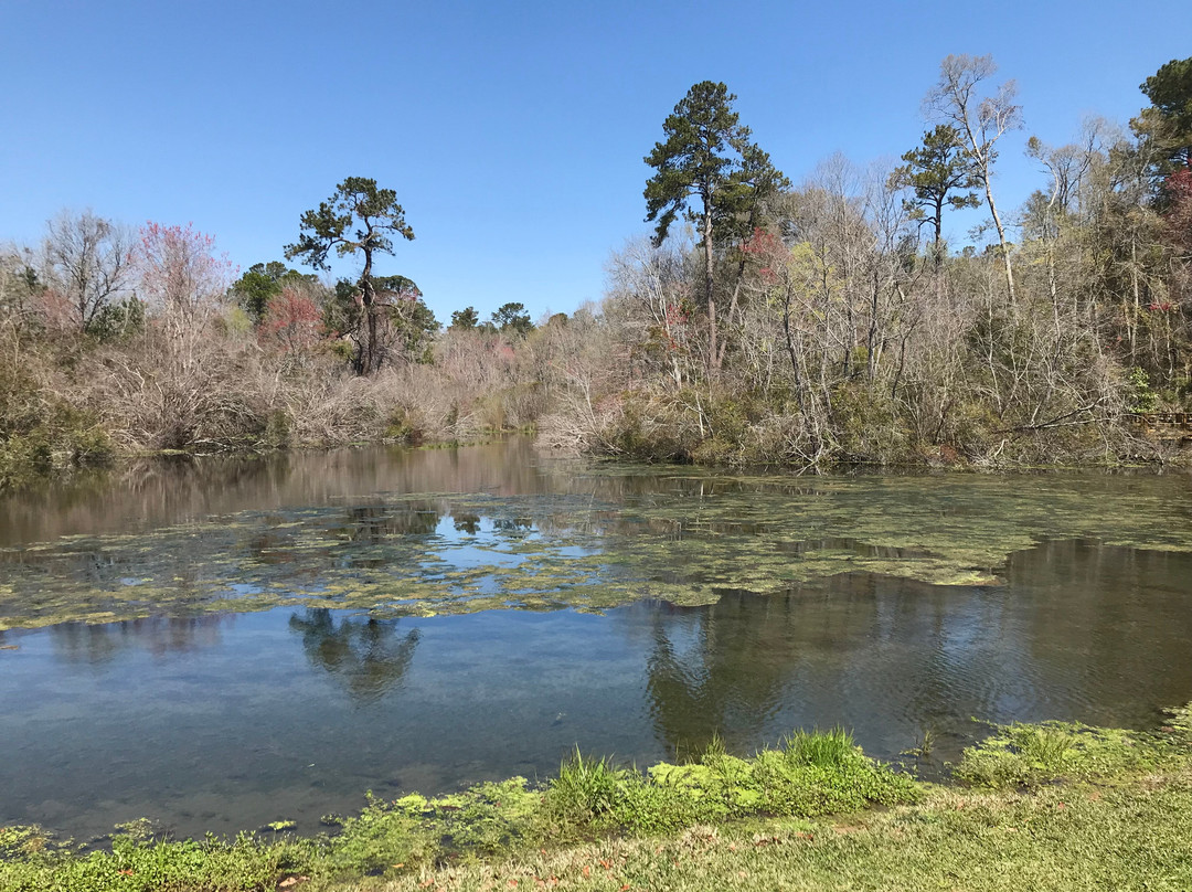 Magnolia Springs Park-Millen必去景点