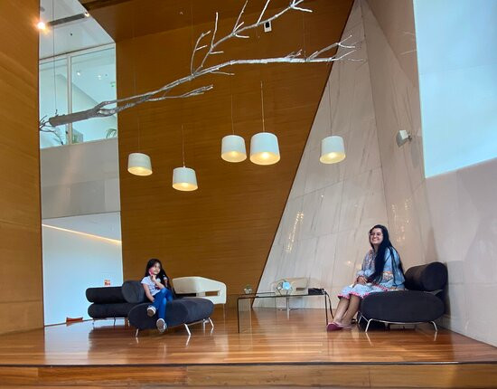 Vivanta New Delhi, Dwarka主图