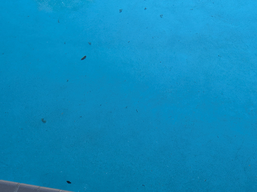 遗产贝斯特韦斯特套房酒店主图