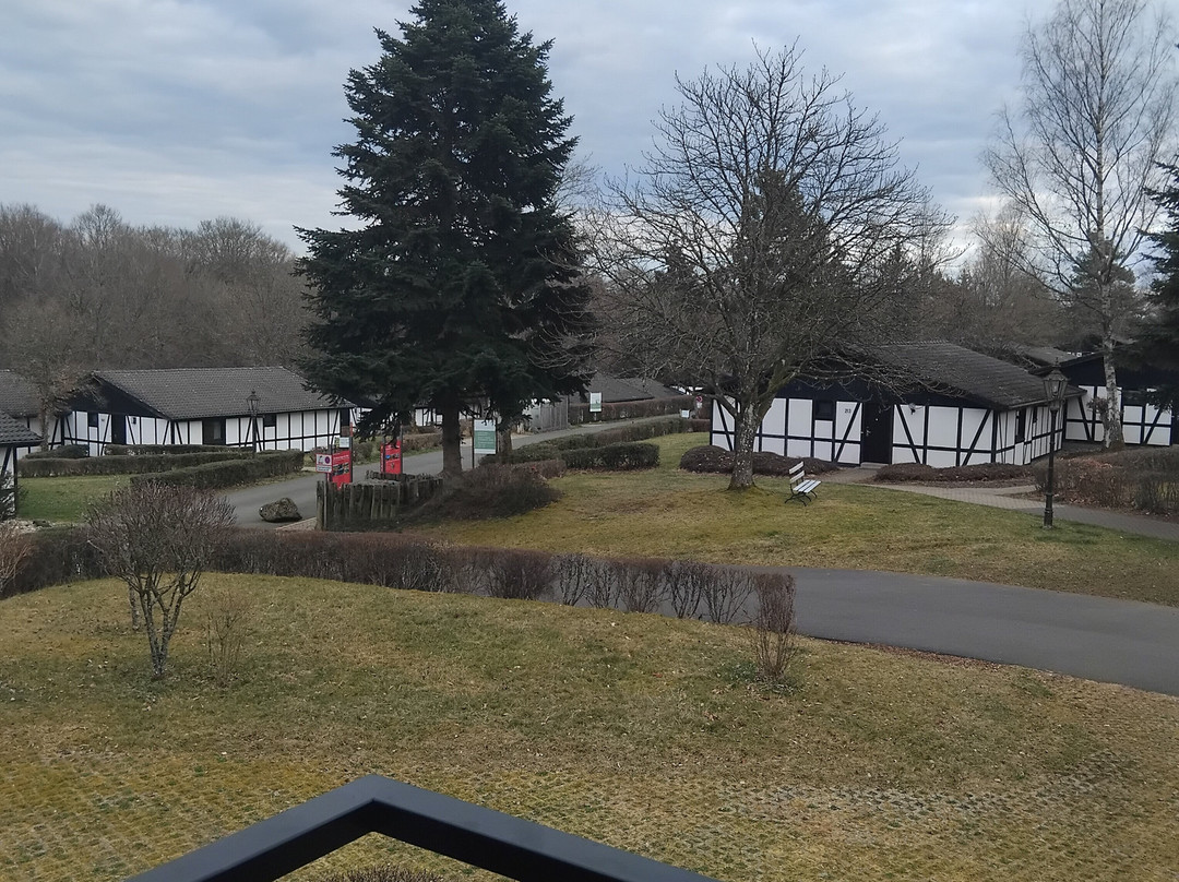 Sporthotel & Resort Grafenwald Daun Vulkaneifel主图