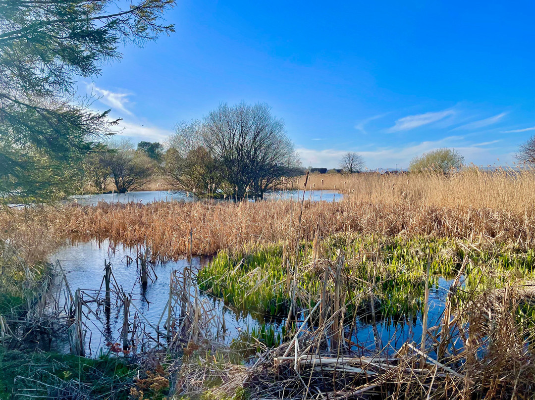 Tayport Common-Tayport必去景点