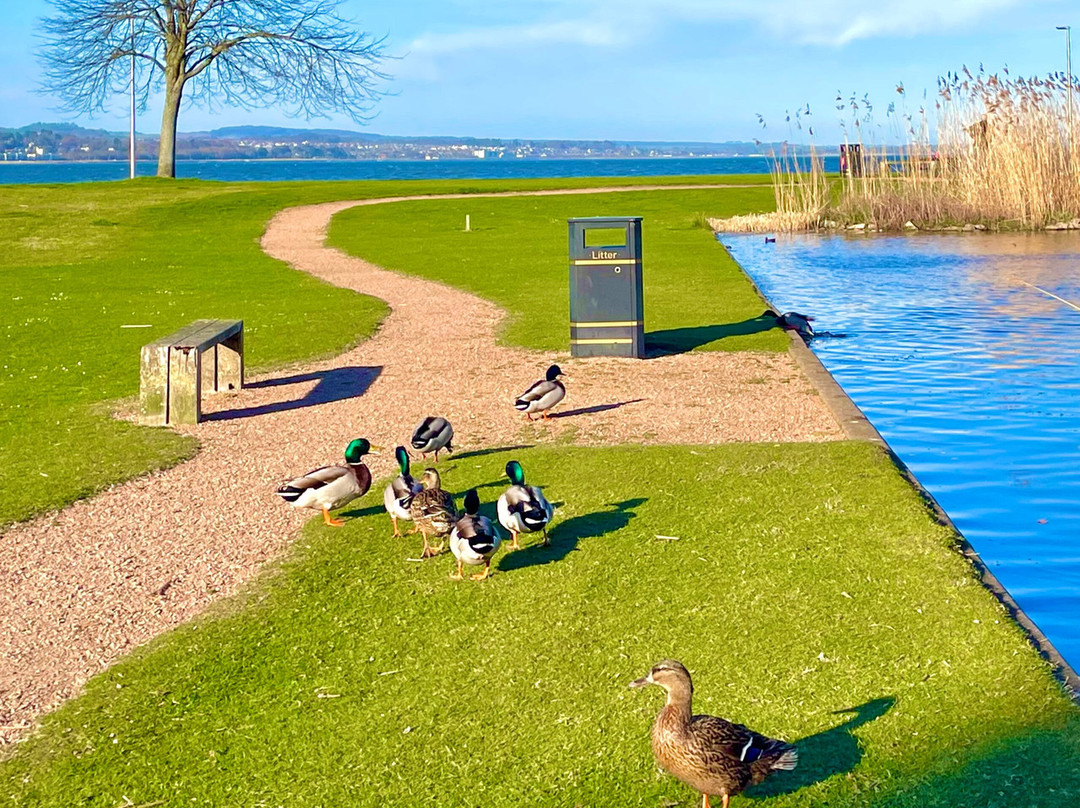 Tayport Common-Tayport必去景点