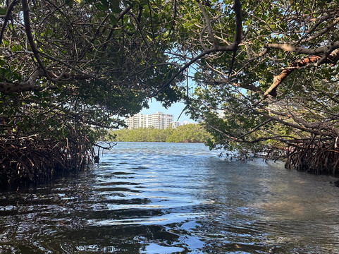 Sea Life Kayak Adventures-萨拉索塔必去景点