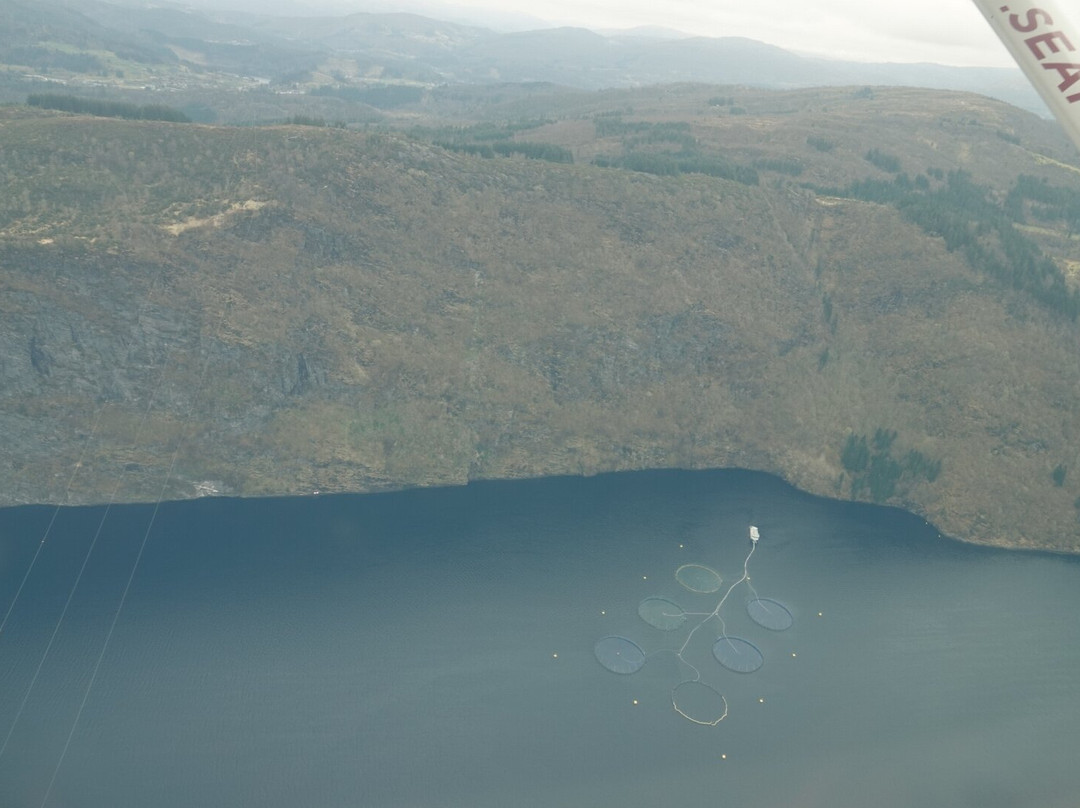 Scandinavian Seaplanes AS-卑尔根必去景点