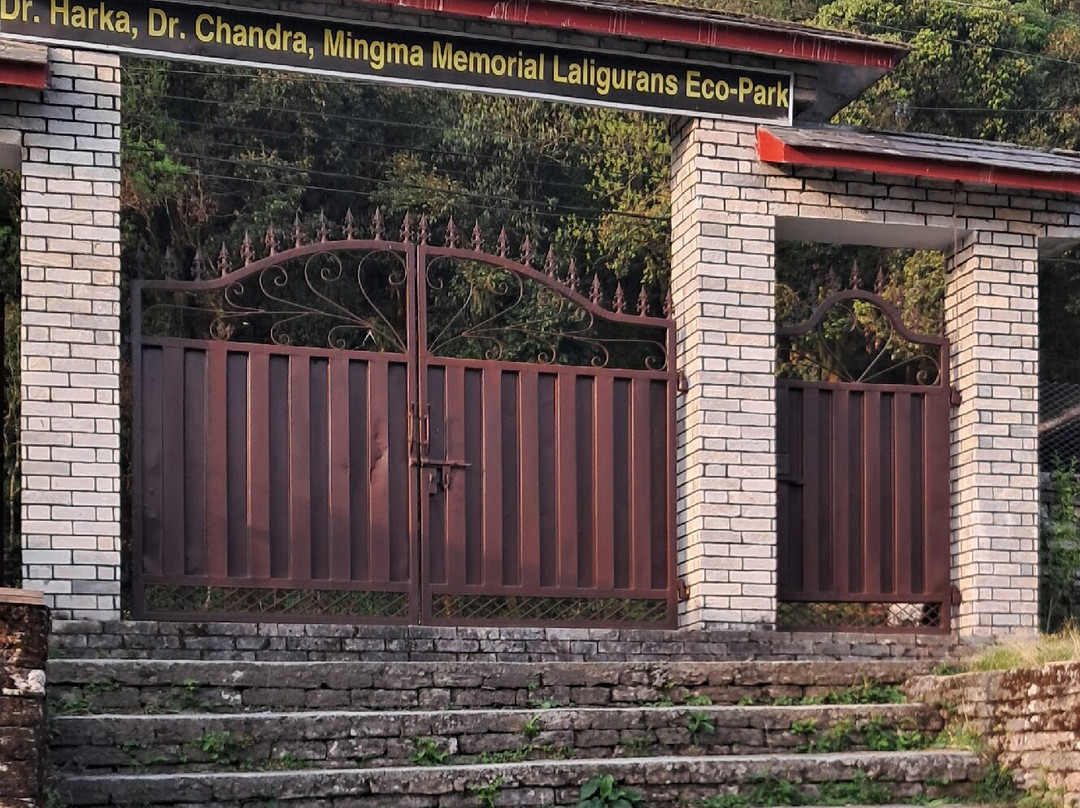 Dhampus View Tower-Dhampus必去景点