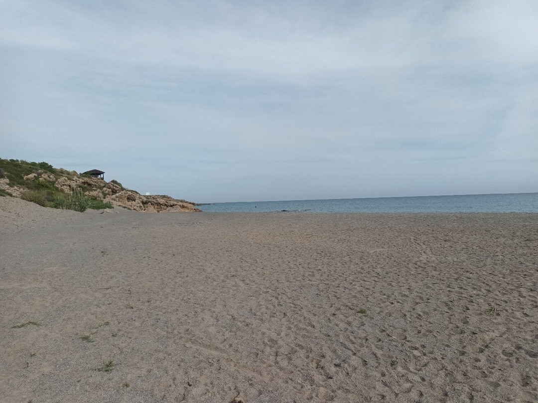 Frangokastello Beach景点图片