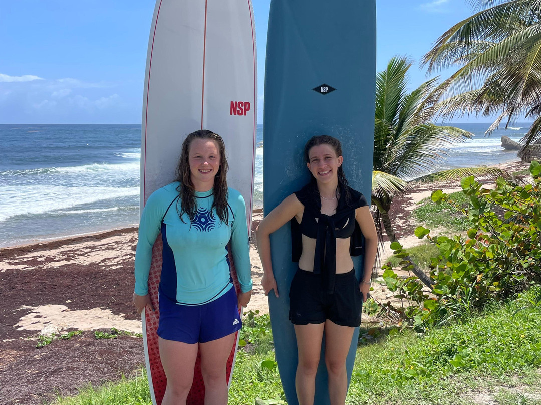 Boosy's Surf School景点图片