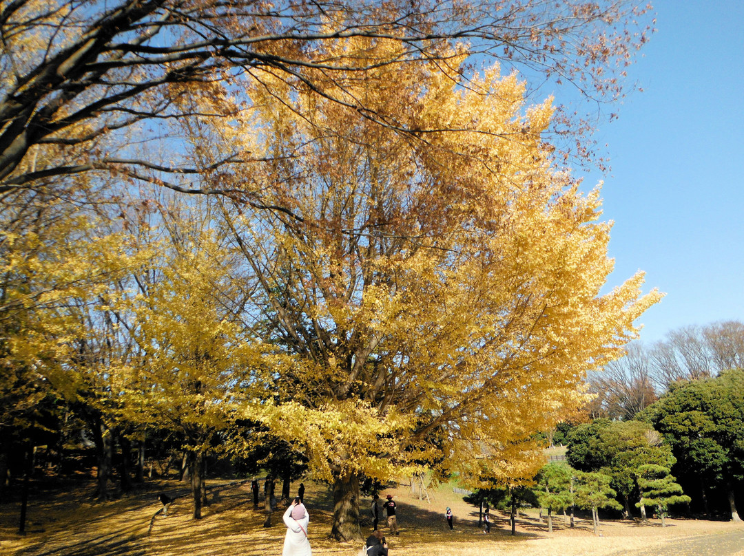 Yokohama Negishi Forest Park-横滨市必去景点