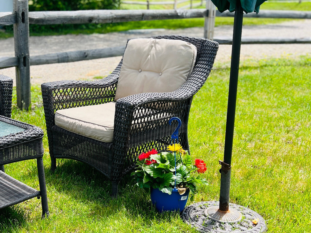 Oxbow Lake Motel主图