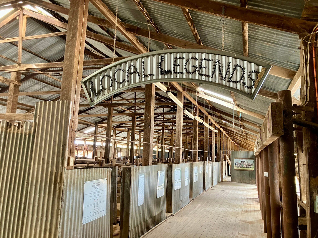 Yanga National Park-Balranald必去景点