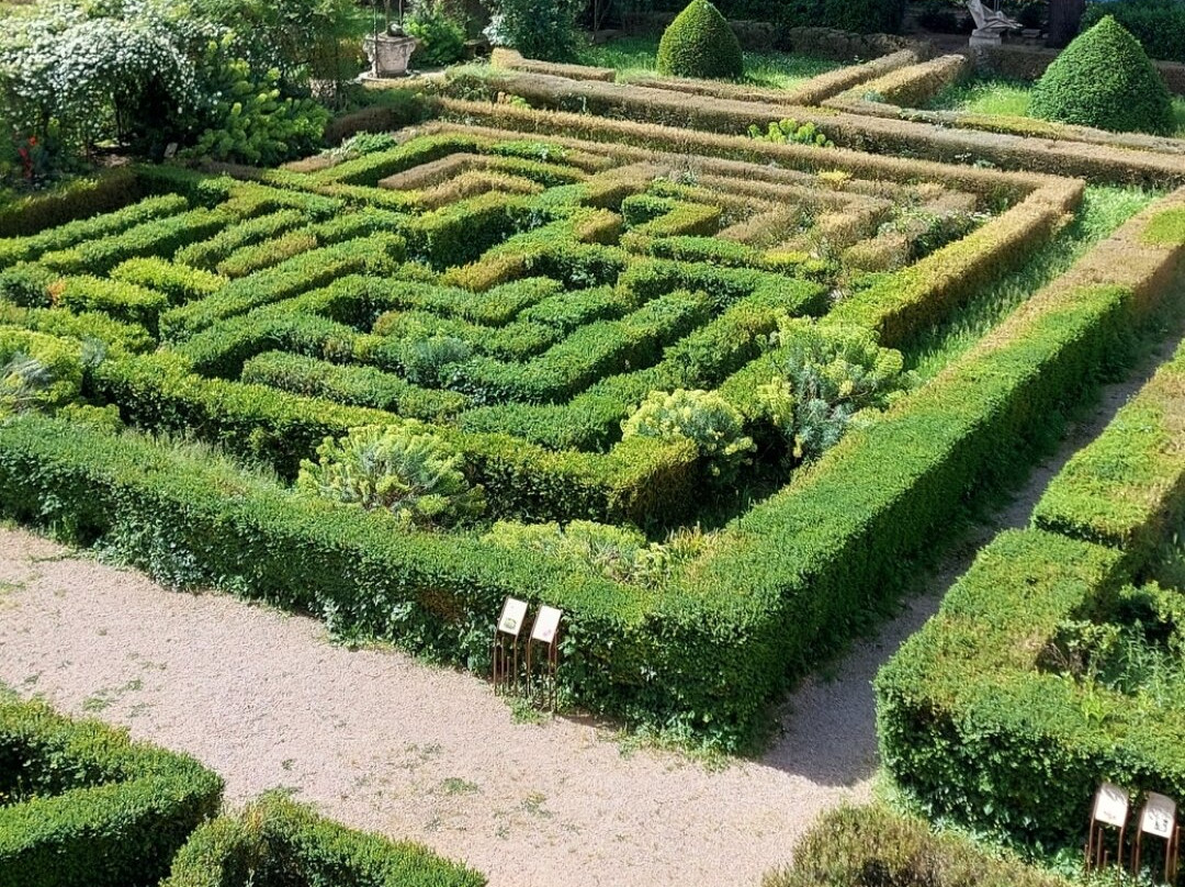 Palazzo di Ludovico il Moro (Palazzo Costabili)景点图片